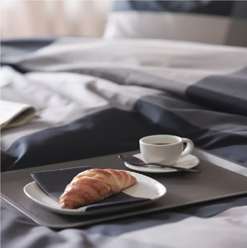 I-K-E-A TILLGÅNG Serving Tray Gray Polypropylene15x11 : Amazon.sg